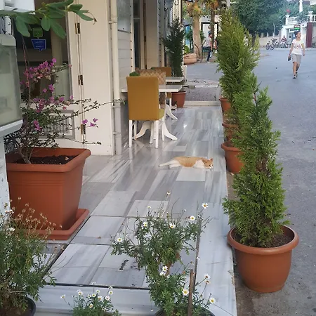 Отель Cenar Butik